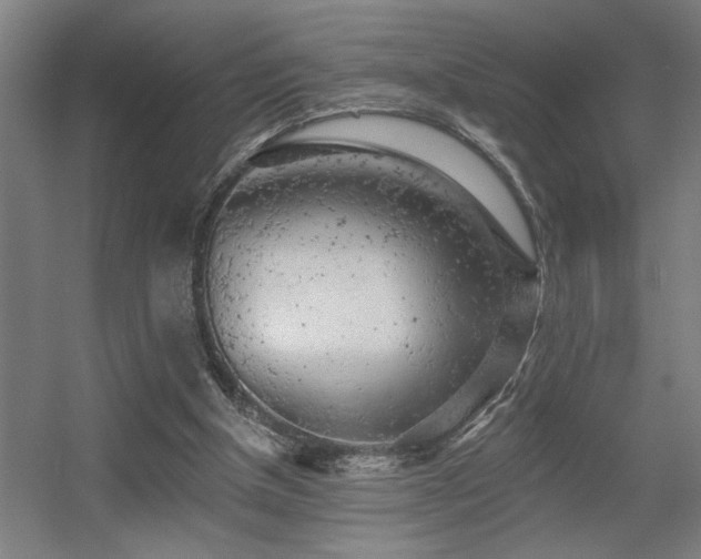 X0000055990154200508221306