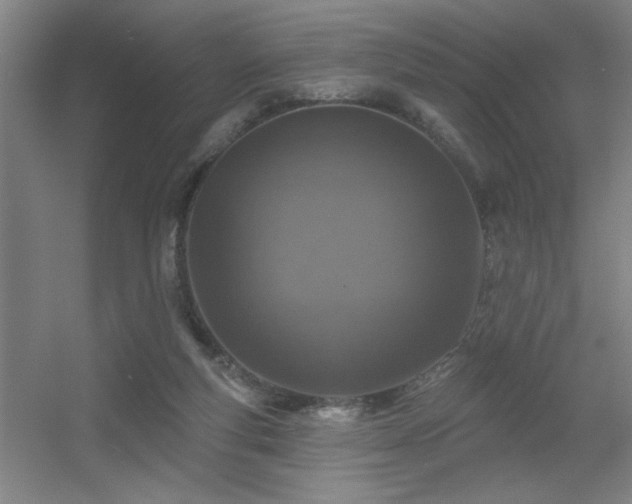 X0000055990163200508221306