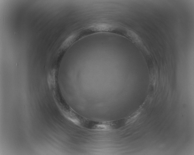 X0000055990167200508221306