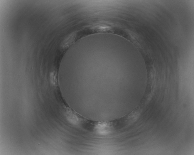 X0000055990177200508221306