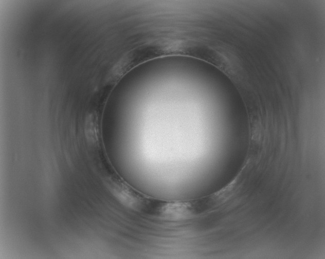 X0000055990179200508221306
