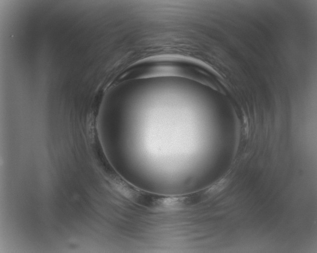 X0000055990184200508221306