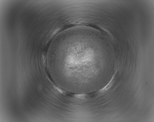 X0000055990192200508221306