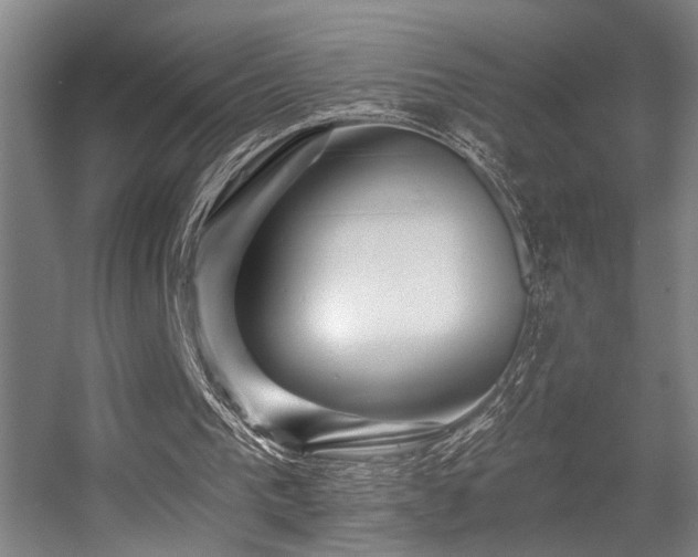 X0000055990193200508221305