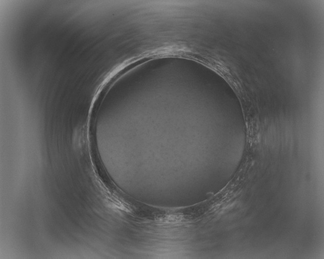 X0000055990196200508221305