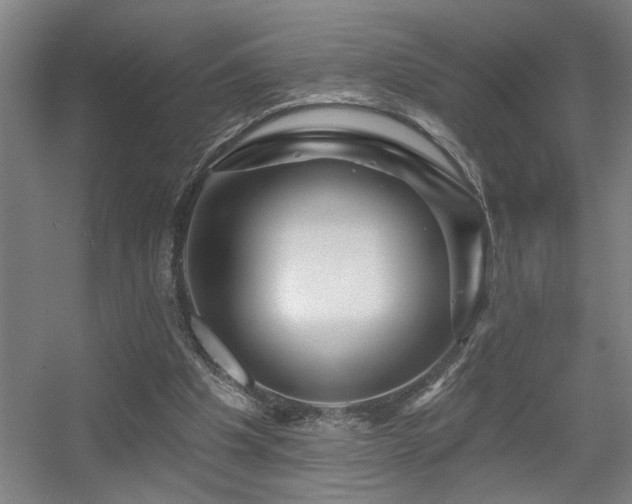 X0000055990201200508221305