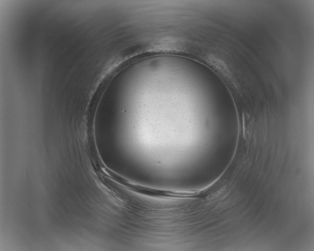 X0000055990204200508221305