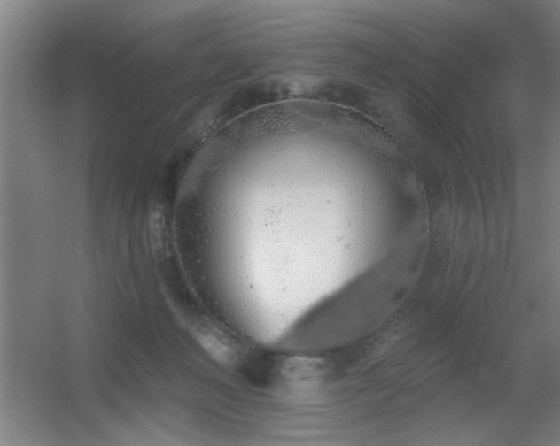 X0000055990222200508221305