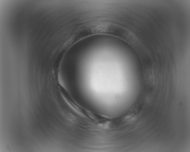 X0000055990224200508221305