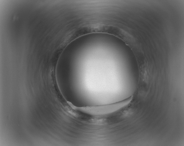 X0000055990225200508221305