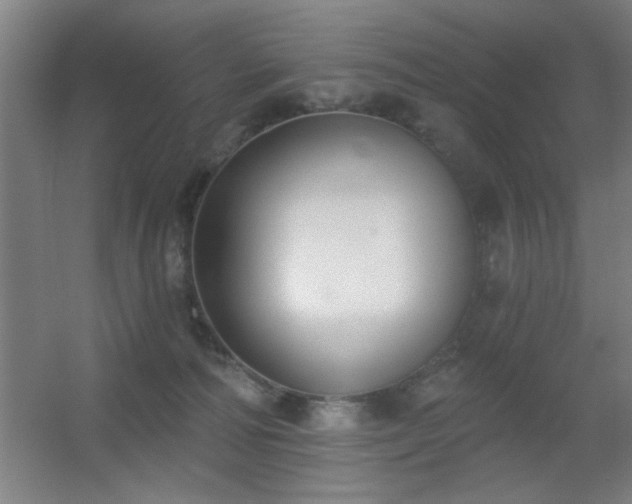 X0000055990226200508221305