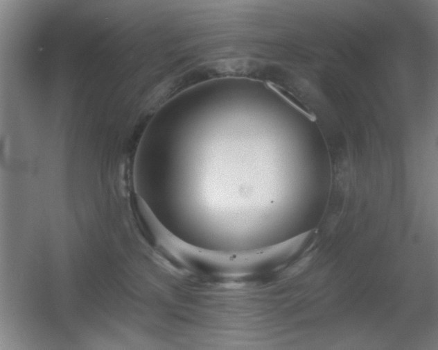 X0000055990233200508221305