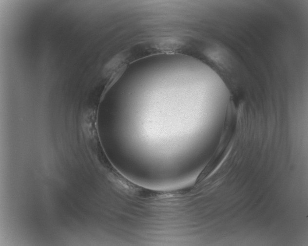 X0000055990237200508221305