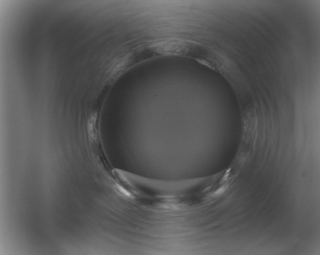 X0000055990239200508221305