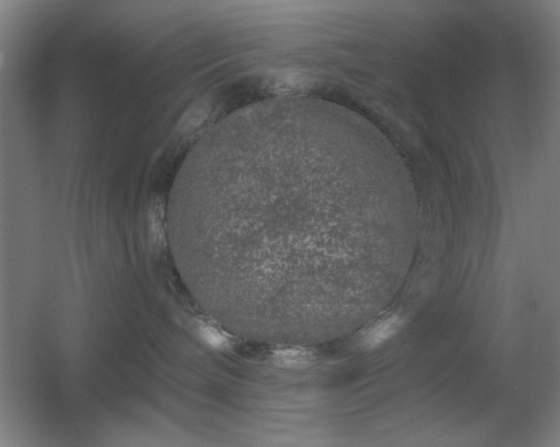 X0000055990240200508221305