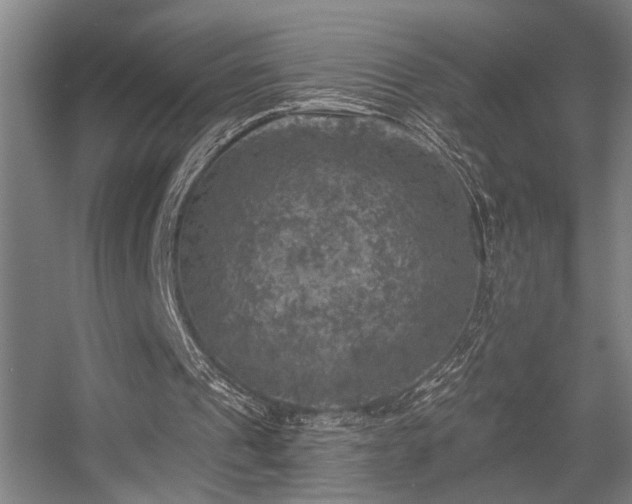 X0000055990241200508221304