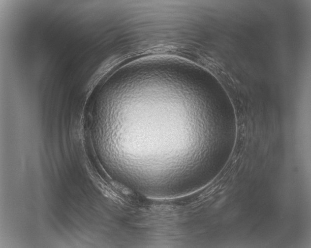 X0000055990242200508221304