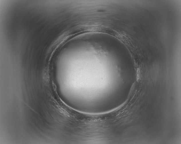X0000055990243200508221304
