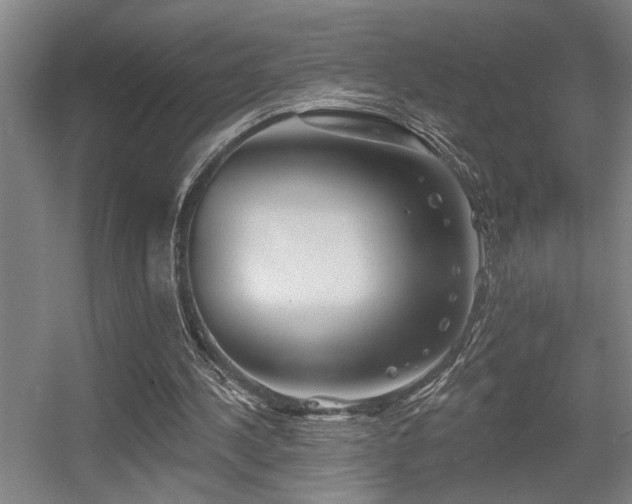 X0000055990244200508221304