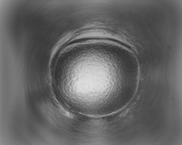 X0000055990245200508221304
