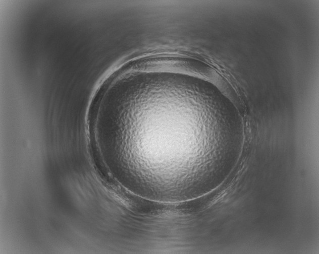 X0000055990246200508221304
