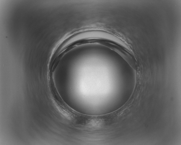 X0000055990248200508221304