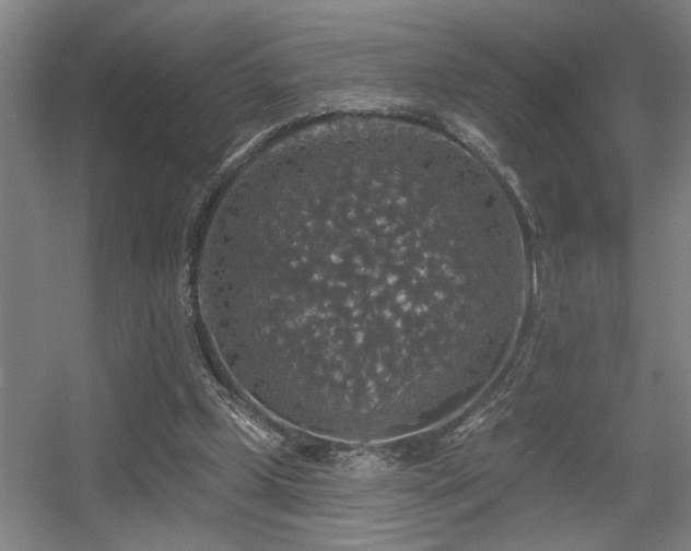 X0000055990249200508221304