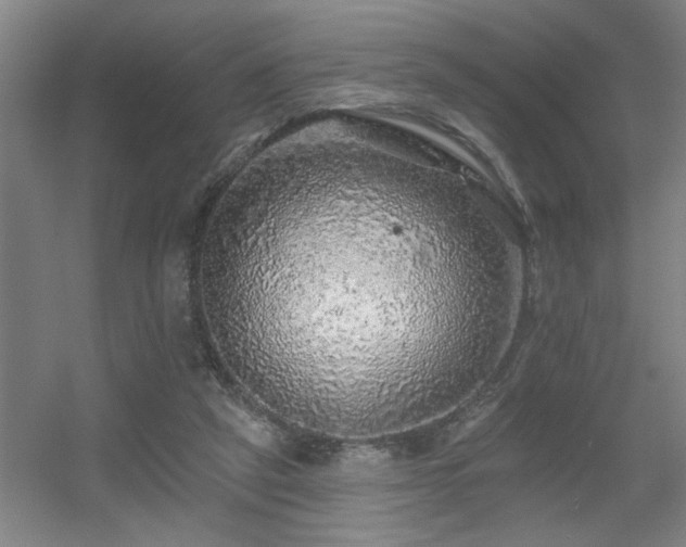 X0000055990257200508221304