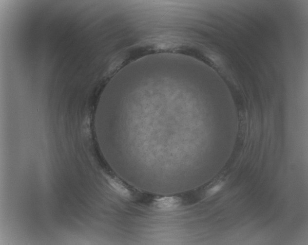 X0000055990269200508221304