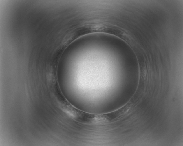 X0000055990270200508221304