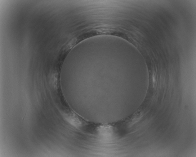 X0000055990271200508221304