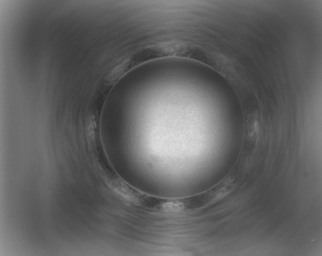 X0000055990279200508221304