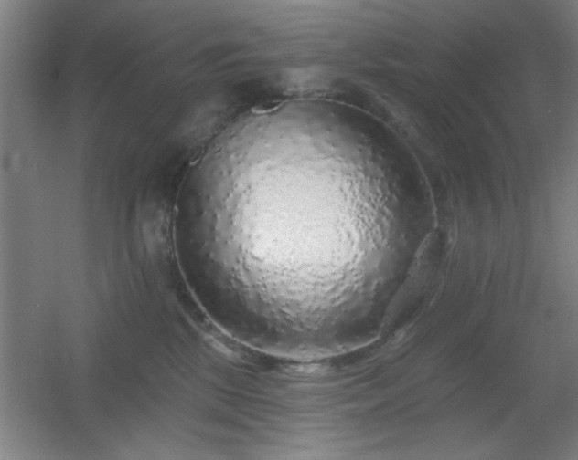 X0000055990281200508221304