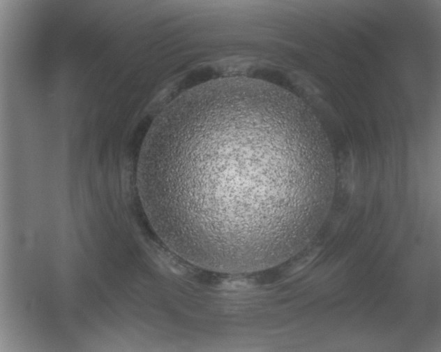 X0000055990283200508221304