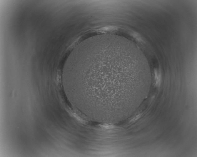 X0000055990284200508221304