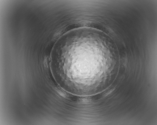 X0000055990286200508221305