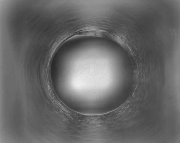 X0000055990289200508221304