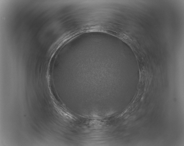 X0000055990290200508221304