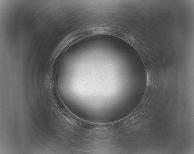 X0000055990291200508221304