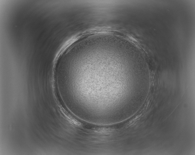X0000055990293200508221304