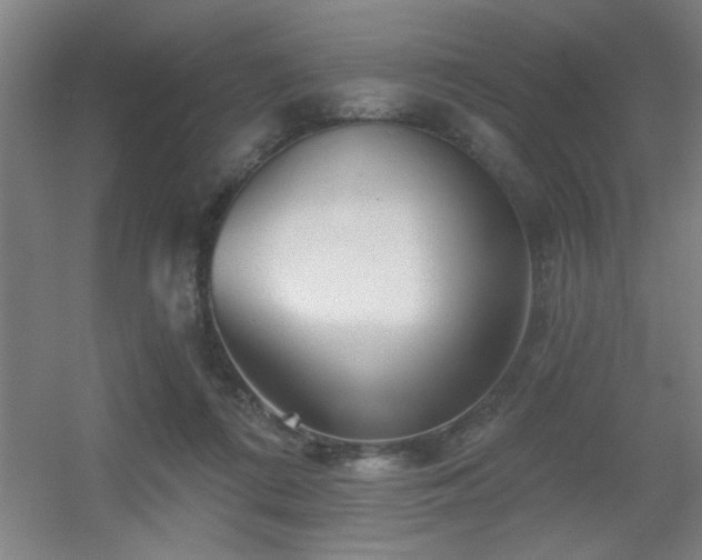 X0000055990312200508221303