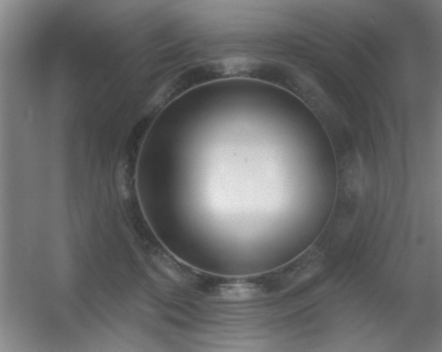 X0000055990316200508221303