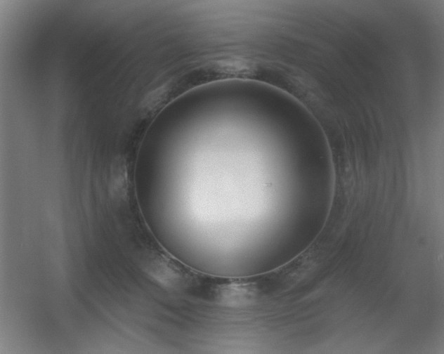 X0000055990320200508221303