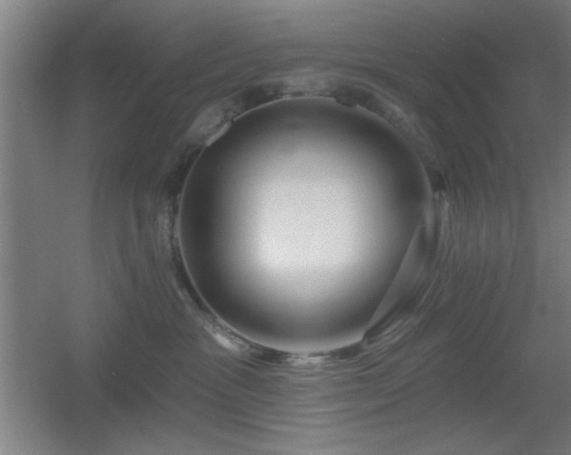 X0000055990333200508221303