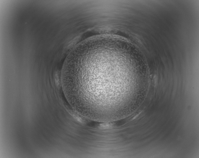 X0000055990335200508221303