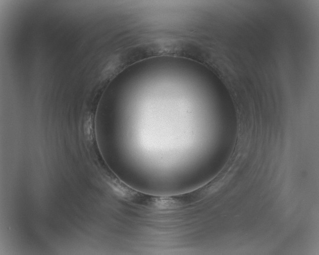 X0000055990336200508221303