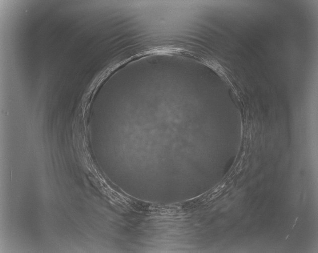 X0000055990337200508221302