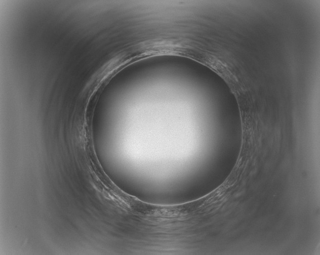 X0000055990338200508221302