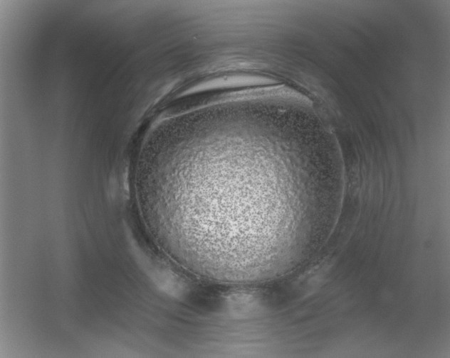 X0000055990358200508221302