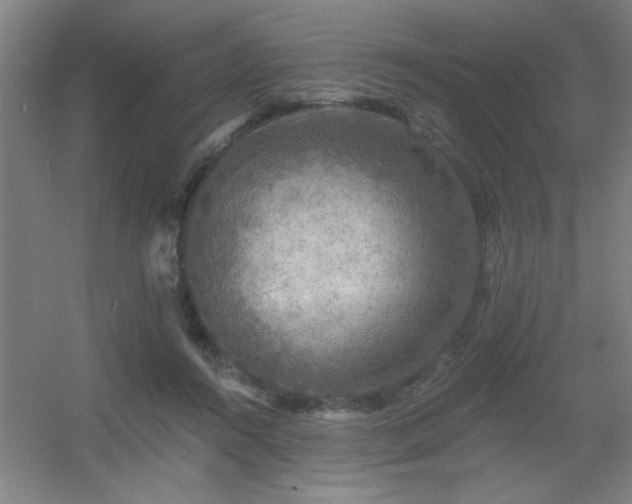 X0000055990360200508221303